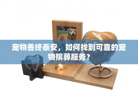 宠物善终泰安，如何找到可靠的宠物殡葬服务？