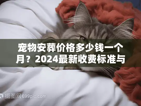 宠物安葬价格多少钱一个月？2024最新收费标准与避坑