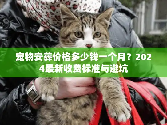 宠物安葬价格多少钱一个月？2024最新收费标准与避坑