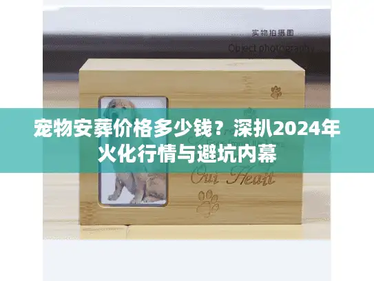 宠物安葬价格多少钱？深扒2024年火化行情与避坑内幕