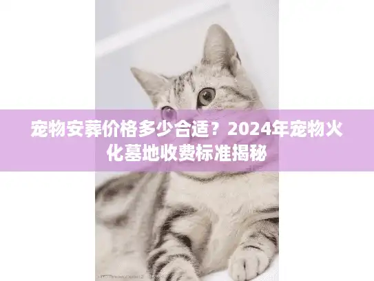 宠物安葬价格多少合适？2024年宠物火化墓地收费标准揭秘