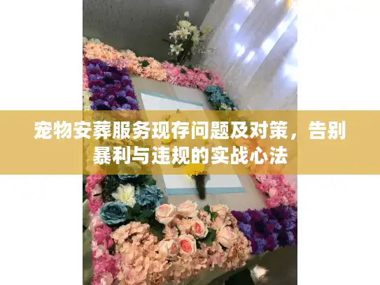 宠物安葬服务现存问题及对策，告别暴利与违规的实战心法