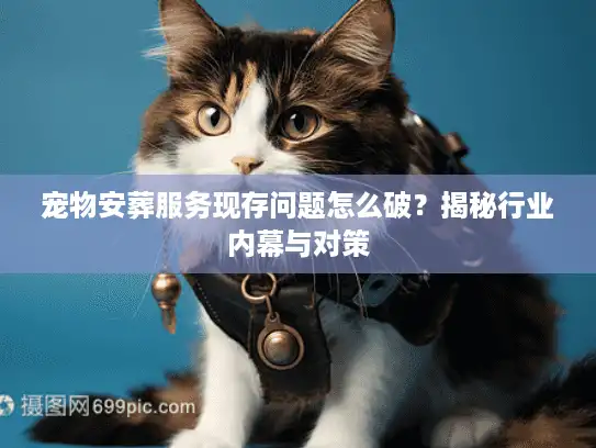 宠物安葬服务现存问题怎么破？揭秘行业内幕与对策