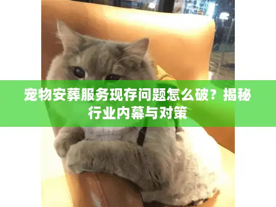 宠物安葬服务现存问题怎么破？揭秘行业内幕与对策