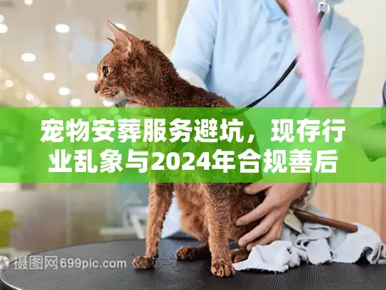 宠物安葬服务避坑，现存行业乱象与2024年合规善后对策