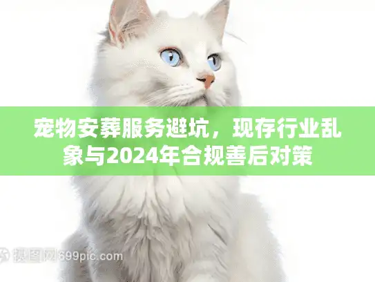 宠物安葬服务避坑，现存行业乱象与2024年合规善后对策