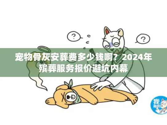 宠物骨灰安葬费多少钱啊？2024年殡葬服务报价避坑内幕
