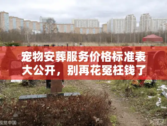宠物安葬服务价格标准表大公开，别再花冤枉钱了！