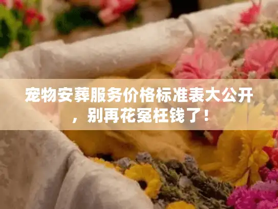 宠物安葬服务价格标准表大公开，别再花冤枉钱了！