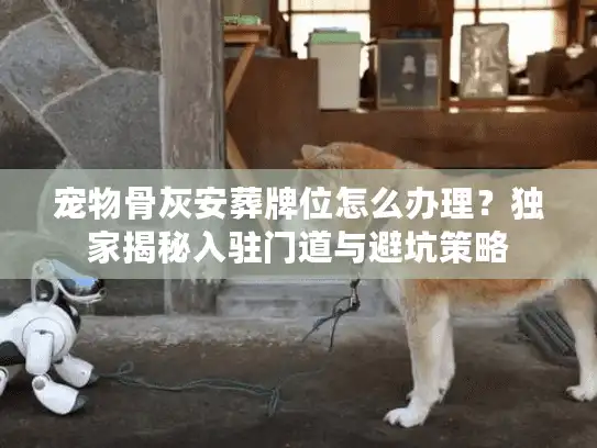 宠物骨灰安葬牌位怎么办理？独家揭秘入驻门道与避坑策略