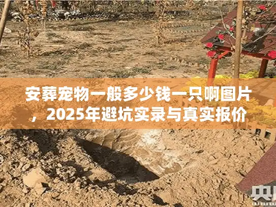 安葬宠物一般多少钱一只啊图片，2025年避坑实录与真实报价单