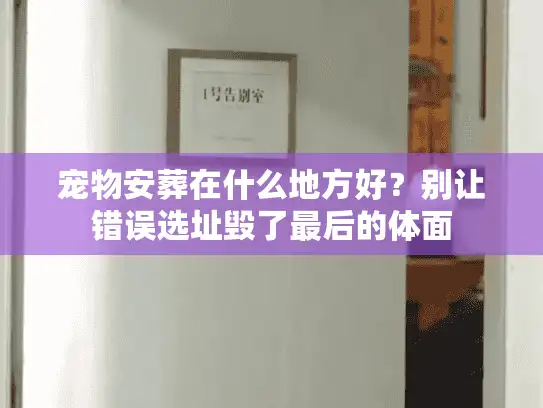 宠物安葬在什么地方好？别让错误选址毁了最后的体面