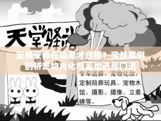 宠物安葬在哪里才合规？实战案例剖析宠物火化与墓地选择门道
