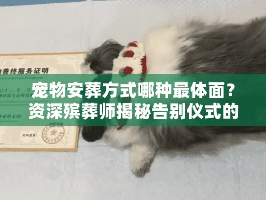 宠物安葬方式哪种最体面？资深殡葬师揭秘告别仪式的门道