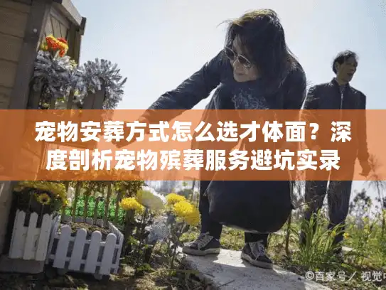 宠物安葬方式怎么选才体面？深度剖析宠物殡葬服务避坑实录
