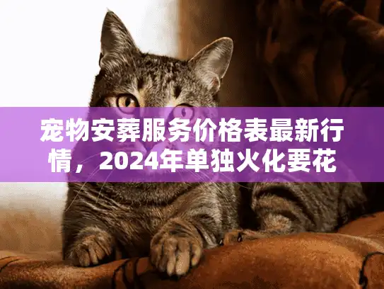 宠物安葬服务价格表最新行情，2024年单独火化要花多少钱？