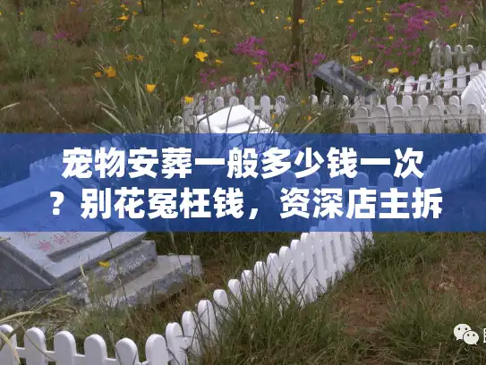 宠物安葬一般多少钱一次？别花冤枉钱，资深店主拆解报价明细