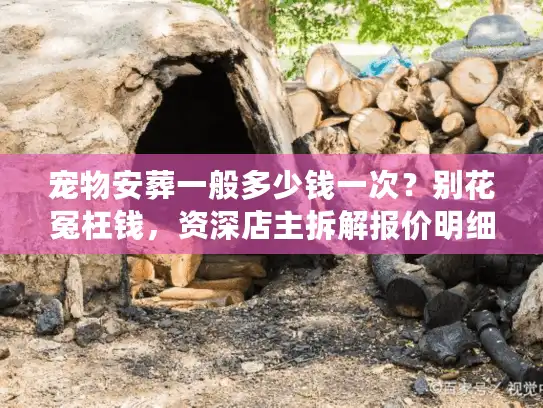 宠物安葬一般多少钱一次？别花冤枉钱，资深店主拆解报价明细