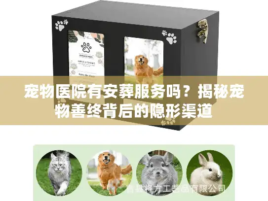 宠物医院有安葬服务吗？揭秘宠物善终背后的隐形渠道