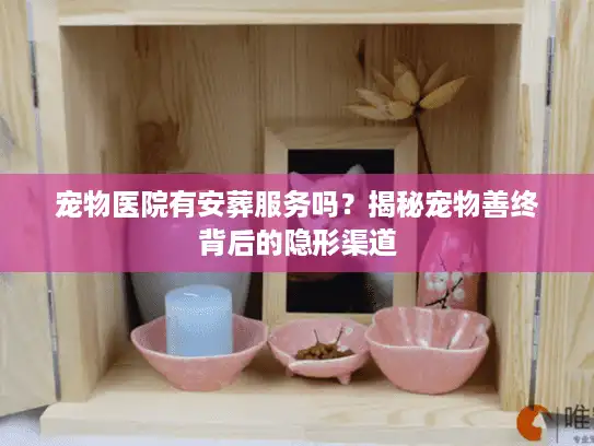 宠物医院有安葬服务吗？揭秘宠物善终背后的隐形渠道