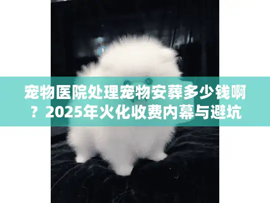 宠物医院处理宠物安葬多少钱啊？2025年火化收费内幕与避坑实锤