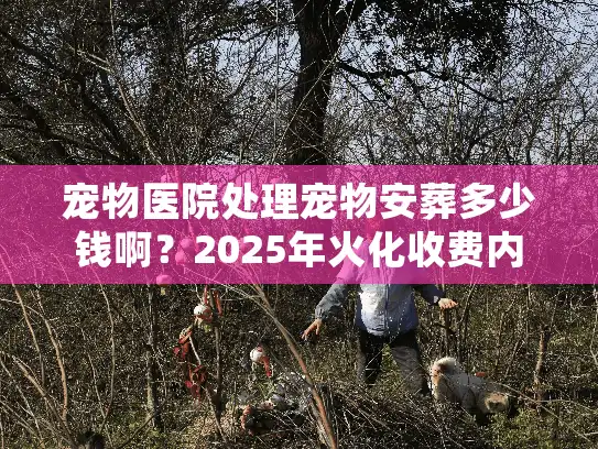 宠物医院处理宠物安葬多少钱啊？2025年火化收费内幕与避坑实锤