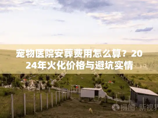 宠物医院安葬费用怎么算？2024年火化价格与避坑实情