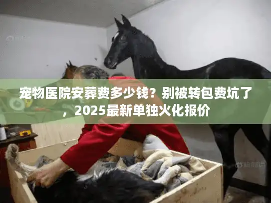 宠物医院安葬费多少钱？别被转包费坑了，2025最新单独火化报价