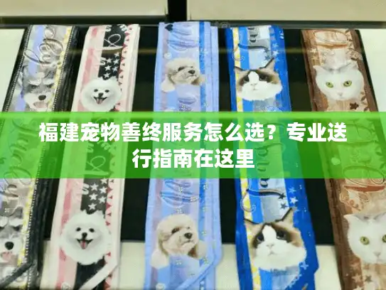 福建宠物善终服务怎么选？专业送行指南在这里