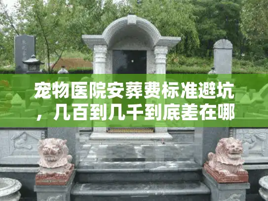 宠物医院安葬费标准避坑，几百到几千到底差在哪？