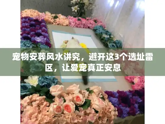 宠物安葬风水讲究，避开这3个选址雷区，让爱宠真正安息