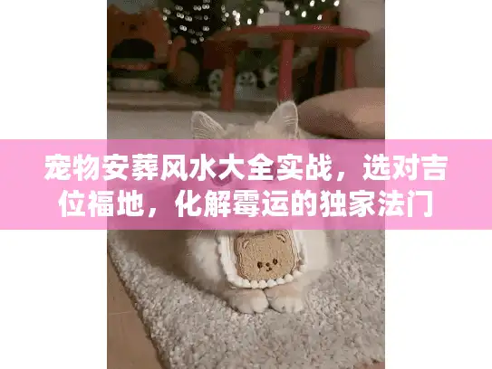 宠物安葬风水大全实战，选对吉位福地，化解霉运的独家法门