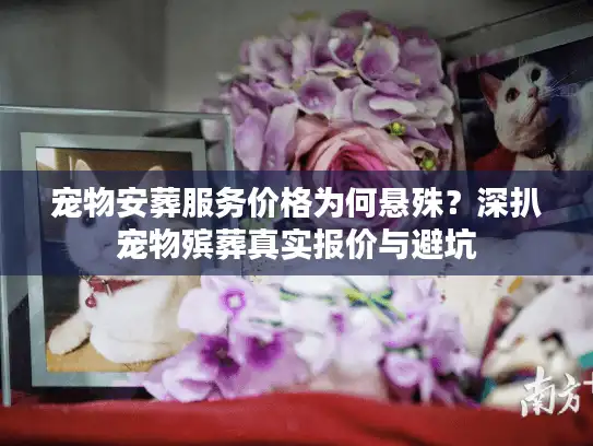 宠物安葬服务价格为何悬殊？深扒宠物殡葬真实报价与避坑