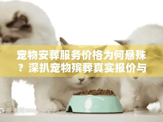 宠物安葬服务价格为何悬殊？深扒宠物殡葬真实报价与避坑