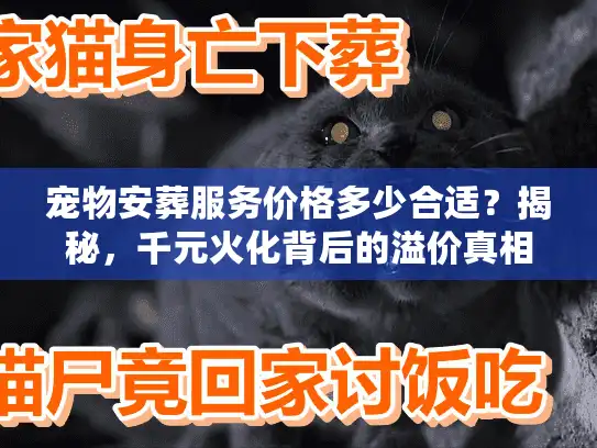 宠物安葬服务价格多少合适？揭秘，千元火化背后的溢价真相