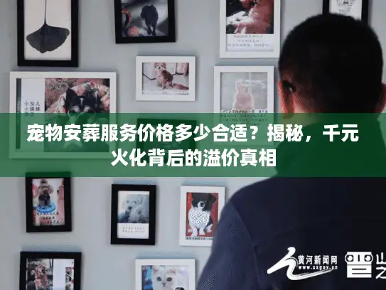 宠物安葬服务价格多少合适？揭秘，千元火化背后的溢价真相