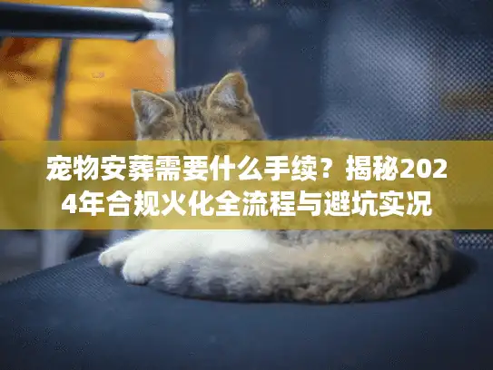 宠物安葬需要什么手续？揭秘2024年合规火化全流程与避坑实况