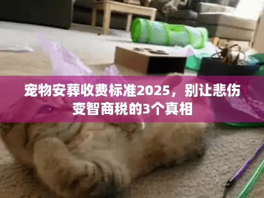 宠物安葬收费标准2025，别让悲伤变智商税的3个真相