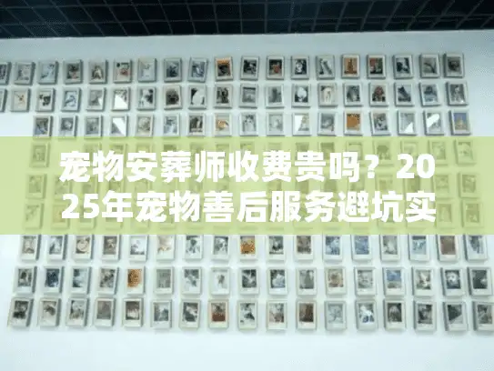 宠物安葬师收费贵吗？2025年宠物善后服务避坑实录