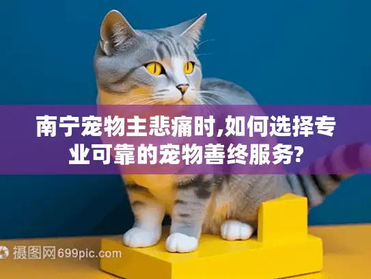 南宁宠物主悲痛时,如何选择专业可靠的宠物善终服务?
