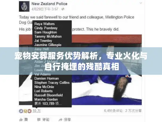 宠物安葬服务优势解析，专业火化与自行掩埋的残酷真相