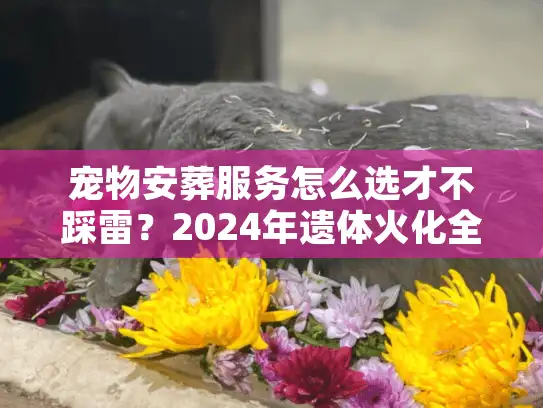 宠物安葬服务怎么选才不踩雷？2024年遗体火化全流程拆解