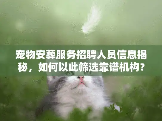 宠物安葬服务招聘人员信息揭秘，如何以此筛选靠谱机构？