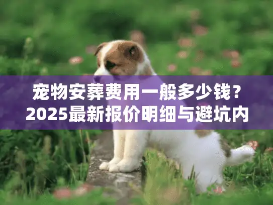 宠物安葬费用一般多少钱？2025最新报价明细与避坑内幕