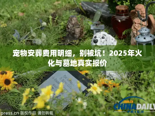 宠物安葬费用明细，别被坑！2025年火化与墓地真实报价