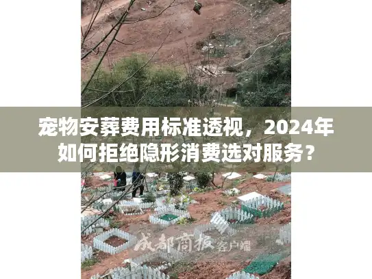 宠物安葬费用标准透视，2024年如何拒绝隐形消费选对服务？