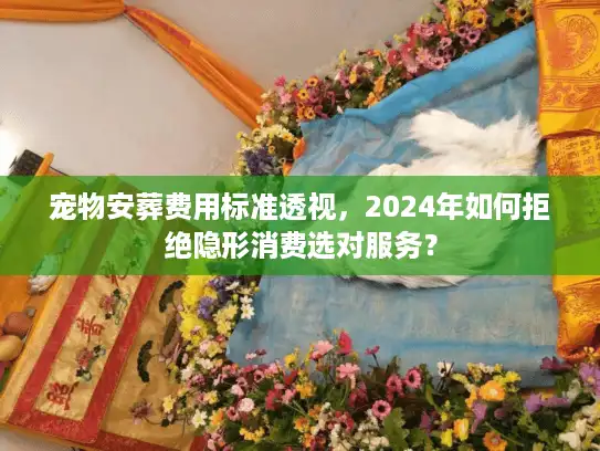宠物安葬费用标准透视，2024年如何拒绝隐形消费选对服务？