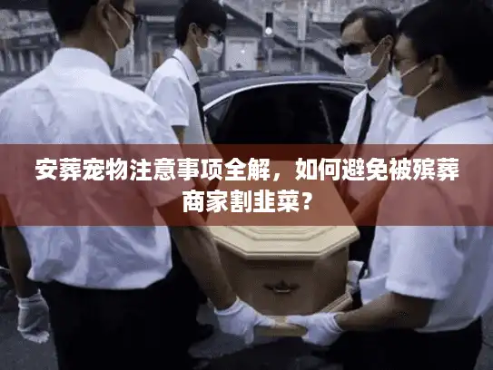 安葬宠物注意事项全解，如何避免被殡葬商家割韭菜？
