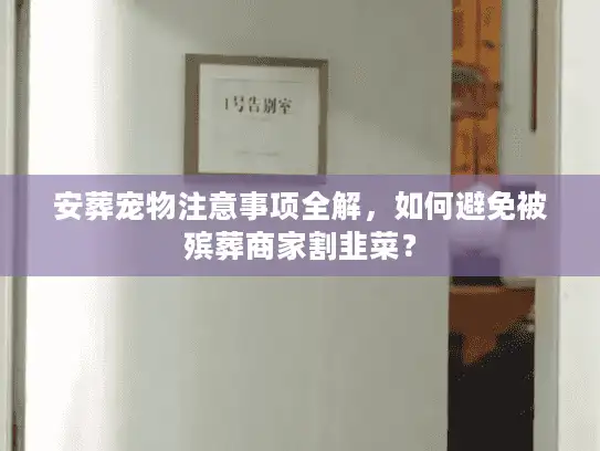 安葬宠物注意事项全解，如何避免被殡葬商家割韭菜？