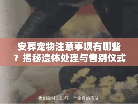 安葬宠物注意事项有哪些？揭秘遗体处理与告别仪式的避坑门道